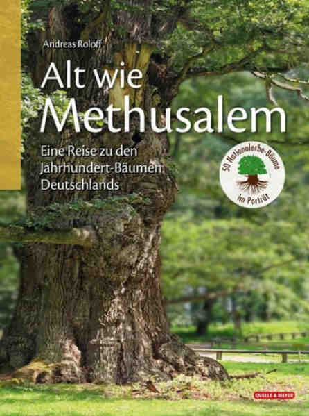 buchtipp alt wie methulasem