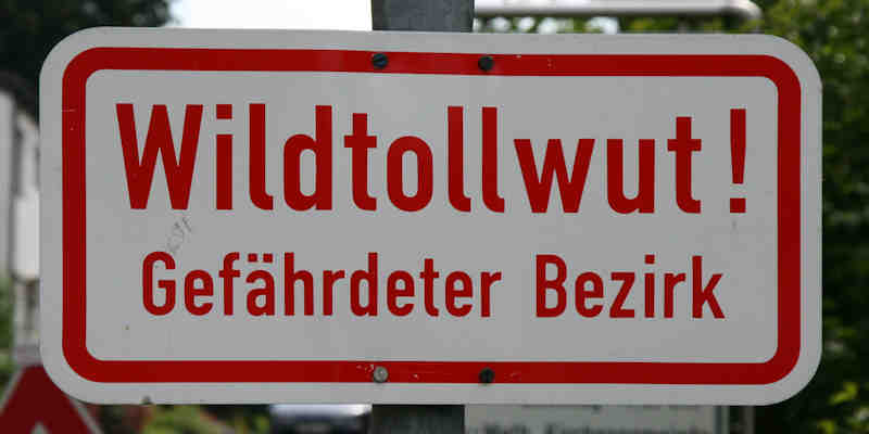 welttollwuttag schild tollwut